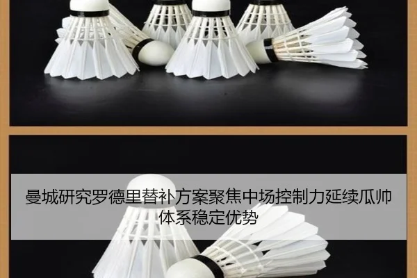 曼城研究罗德里替补方案聚焦中场控制力延续瓜帅体系稳定优势